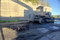 Застрявшую перед бульдозером косулю спасли под Новосибирском