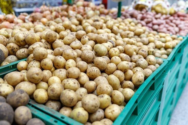 Как картофель стал золотым: цены ломают рекорды