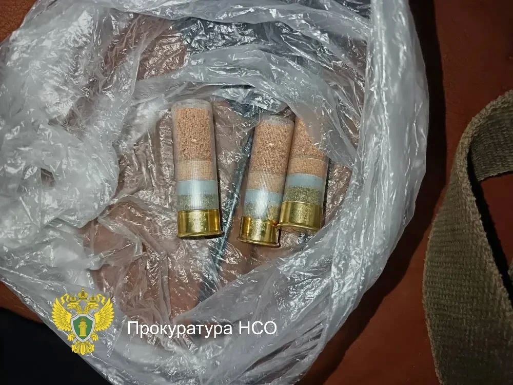 В Новосибирской области вынесен приговор по уголовному делу о незаконной охоте В Новосибирской области вынесен приговор по уголовному делу о незаконной охоте