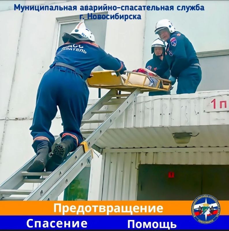 В Новосибирске спасатели нашли тело 58-летней женщины на козырьке подъезда