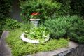 Сегодня с утра +18...+20°C и солнце — идеальное время для прогулок