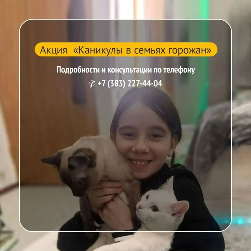 Центры помощи детям «Теплый дом», «Созвездие» и «Жемчужина»: опора для будущего Центры помощи детям «Теплый дом», «Созвездие» и «Жемчужина»: опора для будущего