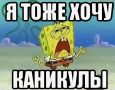 В Новосибирске опубликовали график школьных каникул на 2026–2027 год