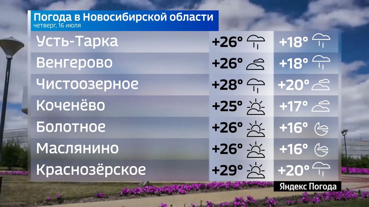 Прогноз погоды на 16 июля 2026 года в Новосибирской области Прогноз погоды на 16 июля 2026 года в Новосибирской области