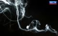 Контрафакт на 9 млн. Двое жителей Купинского района Новосибирской области организовали схему по продаже немаркированного табака
