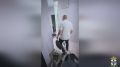 � ������������� ������� ��������� ������������ ������ ���, ���������� � ������������� � ����� �����������