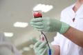 Ученые Новосибирска предложили лечить рак квантовыми точками