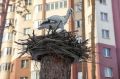 Сколько простоят новосибирские новостройки