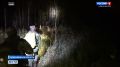 Итоги поисков. Поисковый отряд «ЛизаАлерт» обнародовал статистику по Новосибирской области за июль 2026 года