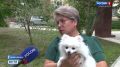 Скорая для питомцев. В Новосибирске появилась ветеринарная скорая помощь