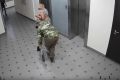 Новосибирец избил хозяйку собаки в лифте на Юго-Западном