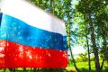 День флага. Дорогие земляки – жители Новосибирской области! Поздравляем вас с праздником – Днём Государственного Флага Российской Федерации! В этот день мы вновь говорим всему миру – мы едины, мы любим свою страну и гордимся...