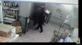 Сотрудниками полиции задержан житель Новосибирска, совершивший разбой ради погашения кредита на BMW