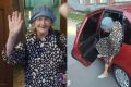 Новосибирцы спасли 89-летнюю Музу от ночевки на улице
