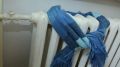 �������������� ��������� ���������� ��������� � ������������