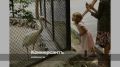 ������ ������������ ��������� ������ ���������� ���������� � ������������ ������ �������� 100 ��, ����������� � ��������