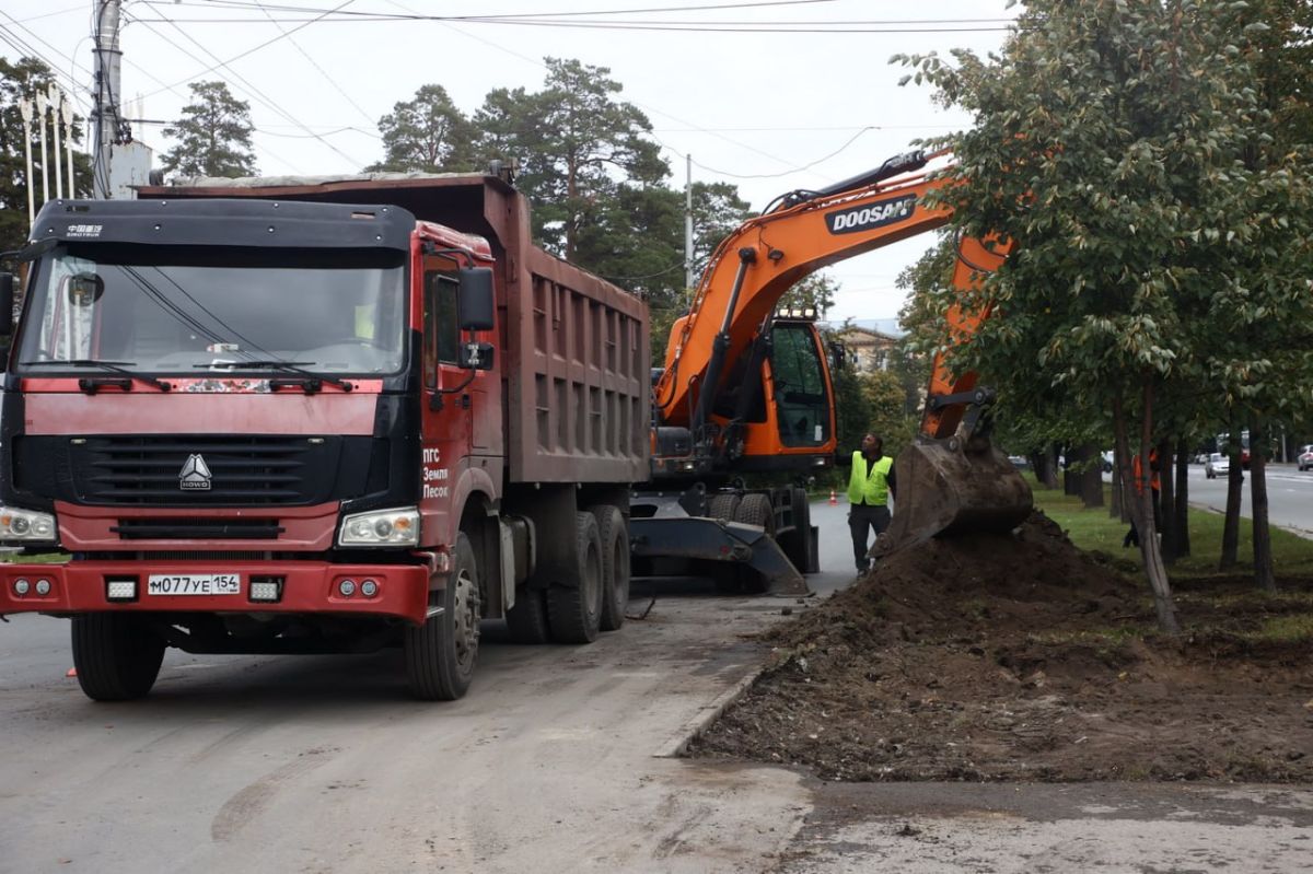 Ковёр для липовой аллеи: 1,3 километра газонов обновляют на Богдашке Ковёр для липовой аллеи: 1,3 километра газонов обновляют на Богдашке
