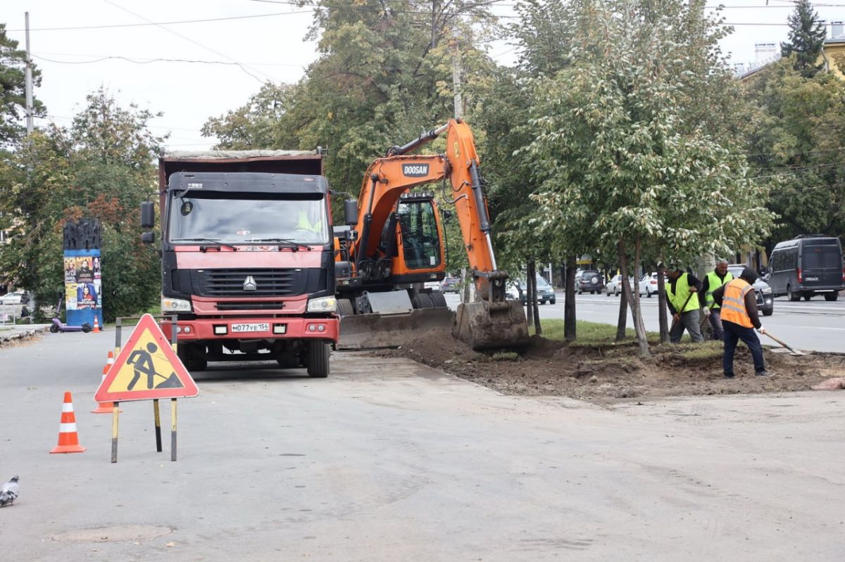 Ковёр для липовой аллеи: 1,3 километра газонов обновляют на Богдашке Ковёр для липовой аллеи: 1,3 километра газонов обновляют на Богдашке