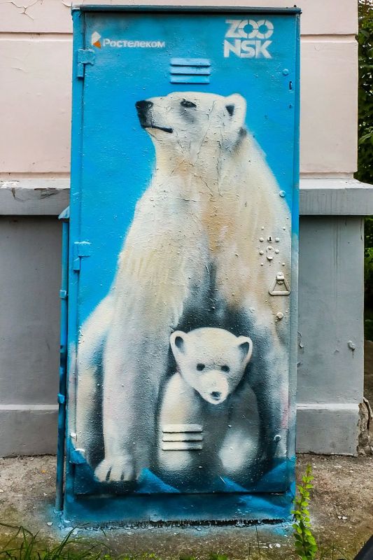 Портреты зверей из зоопарка появились на улицах города Портреты зверей из зоопарка появились на улицах города