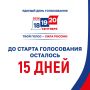 До старта голосования осталось