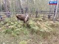 �� �������� �� ����. ��� ��������� ����, ���������� � ������������� ��������, ������� ��������� �������� �� ������