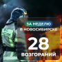 �� ������ � ������������ ��������� 28 �������