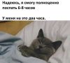 Можно ли выспаться за 2–3 часа?