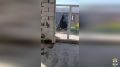���������� ���������� �� �������� �������� ������� �������� �����������