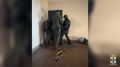 В Новосибирске полицейские ликвидировали сеть вебкам-студий и задержали её организаторов и моделей