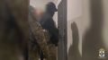 Из одежды только полотенце: в Новосибирске ликвидировали три вебкам-студии