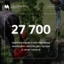 Запущенную в 2025 году программу «10 тысяч деревьев» успешно реализуют в Новосибирске