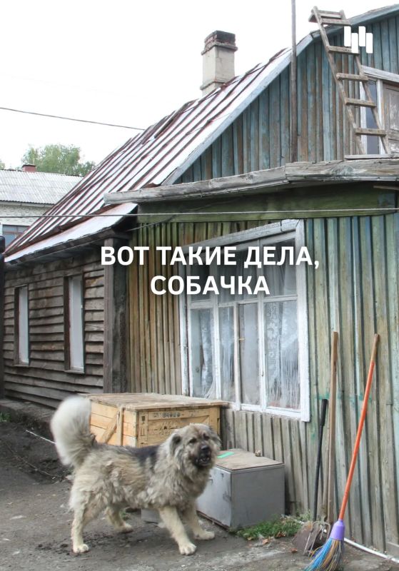 В Новосибирской области продолжает действовать упрощённый порядок оформления прав на недвижимость — «дачная амнистия» (и её версия 2.0). Это шанс узаконить жильё, построенное до 14 мая 1998 года, без суда — нужен только... В Новосибирской области продолжает действовать упрощённый порядок оформления прав на недвижимость — «дачная амнистия» (и её версия 2.0). Это шанс узаконить жильё, построенное до 14 мая 1998 года, без суда — нужен только...