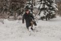 В Новосибирске первый снег могут увидеть уже в октябре