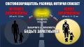 Световозвращатели: Разница, которая спасает