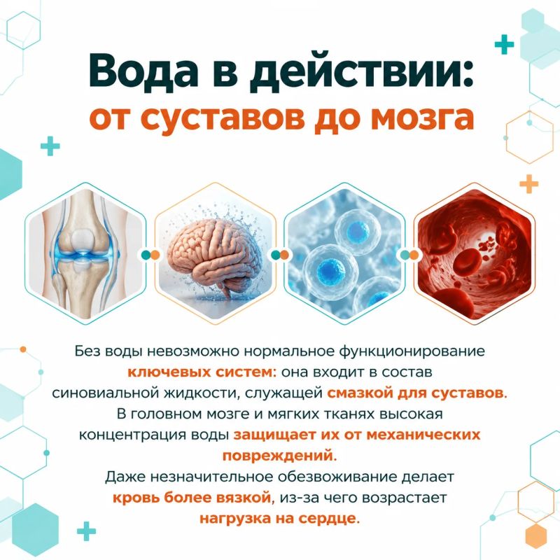 18 сентября — Всемирный день мониторинга качества воды 18 сентября — Всемирный день мониторинга качества воды