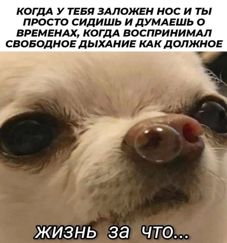 Заложенный нос - частый атрибут осени