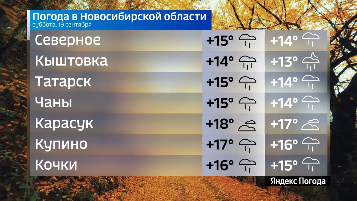 Прогноз погоды на 19 сентября 2026 года в Новосибирской области Прогноз погоды на 19 сентября 2026 года в Новосибирской области