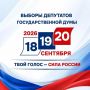 За два дня явка на выборах в Новосибирской области составила 27,36%