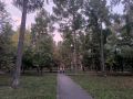 С началом рабочей недели! День будет прохладным, но безветренным и спокойным