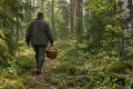 Собрался в лес? Помни, как из него выбраться