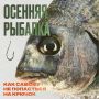 Как самому не попасться на крючок во время осенней рыбалки?