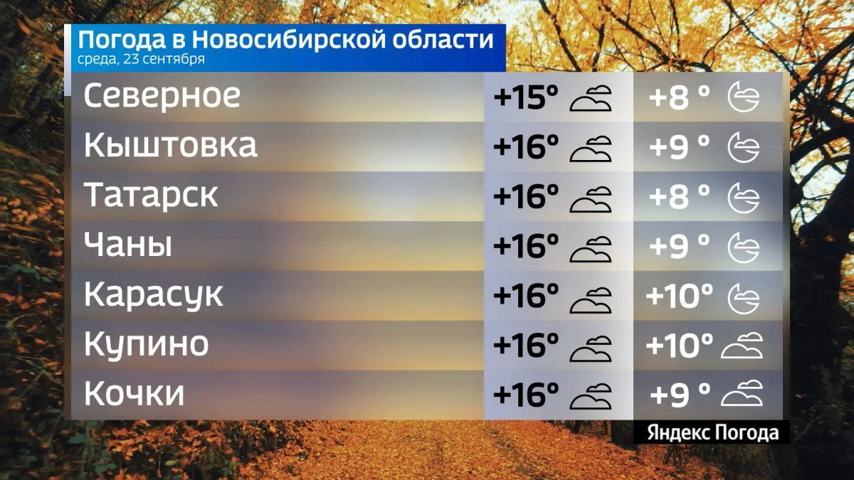 Прогноз погоды на 23 сентября 2026 года в Новосибирской области Прогноз погоды на 23 сентября 2026 года в Новосибирской области