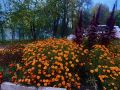 День осеннего равноденствия в этом году выпадает на 23 сентября