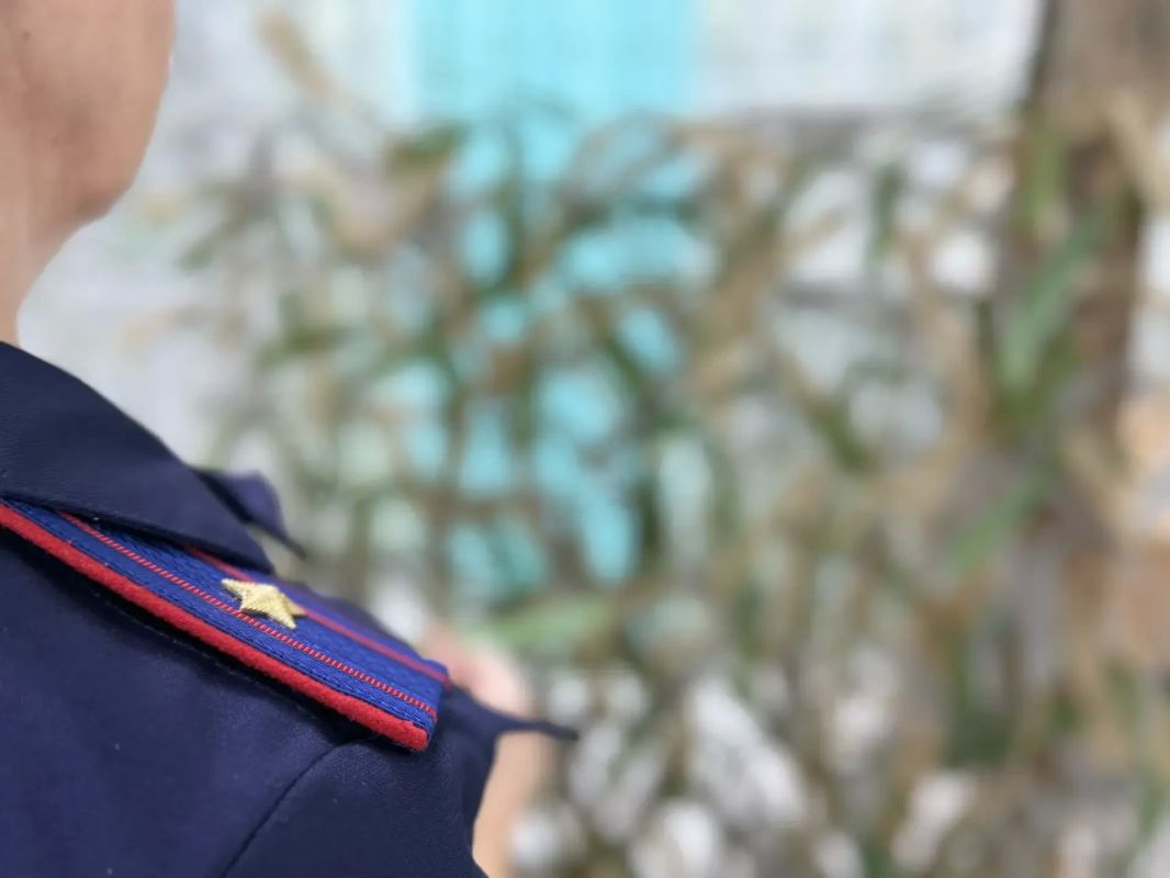 Представительницы женского совета следственного управления по Новосибирской области включились в помощь фронту