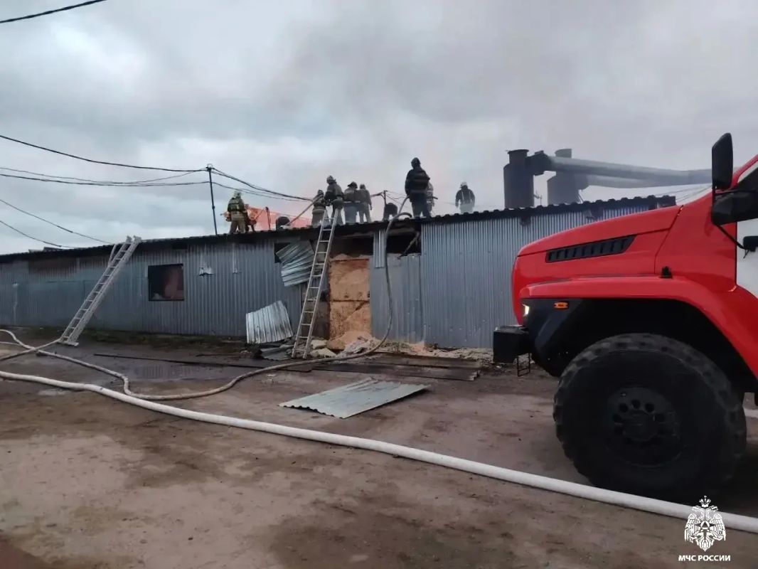 Пожарные потушили возгорание пиломатериалов в Новосибирском районе Пожарные потушили возгорание пиломатериалов в Новосибирском районе