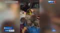 ������� ������. ����� ������ � ����� ������������ ��� ������ � �������� ������ ����������� ���������� �����������