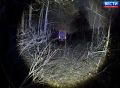 Трагедия на трассе. Вечером 28 сентября на 1166 км автодороги Р-254 «Иртыш» (Барабинский район Новосибирской области) произошло смертельное ДТП
