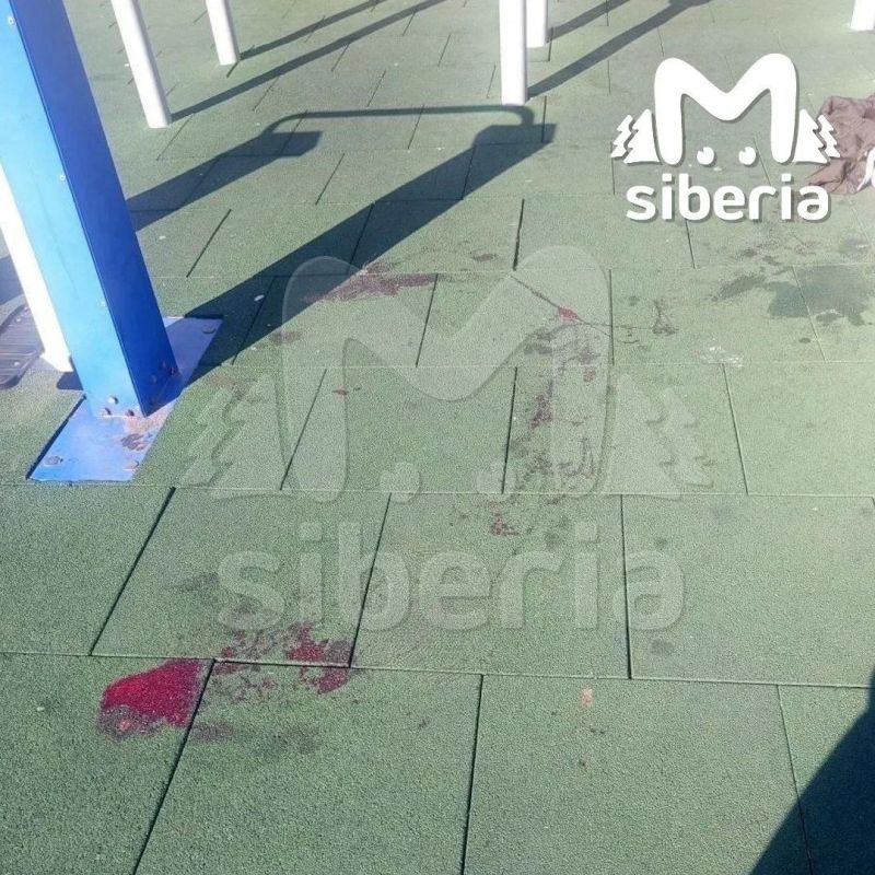 Школьница с ножом напала на девочек