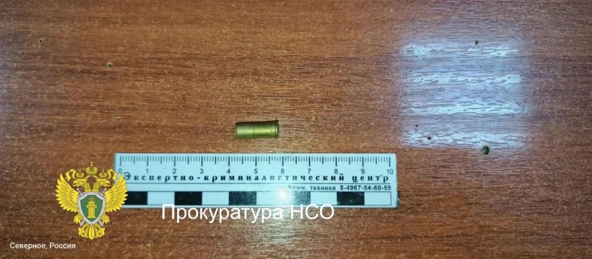 Житель Новосибирской области ответит в суде за незаконное ношение и хранение оружия и боеприпасов Житель Новосибирской области ответит в суде за незаконное ношение и хранение оружия и боеприпасов