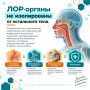 29 сентября – профессиональный праздник оториноларингологов